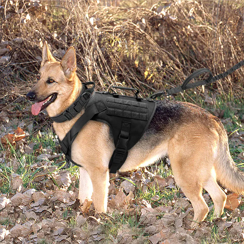 Chaleco Arnés Táctico K9 para Perros