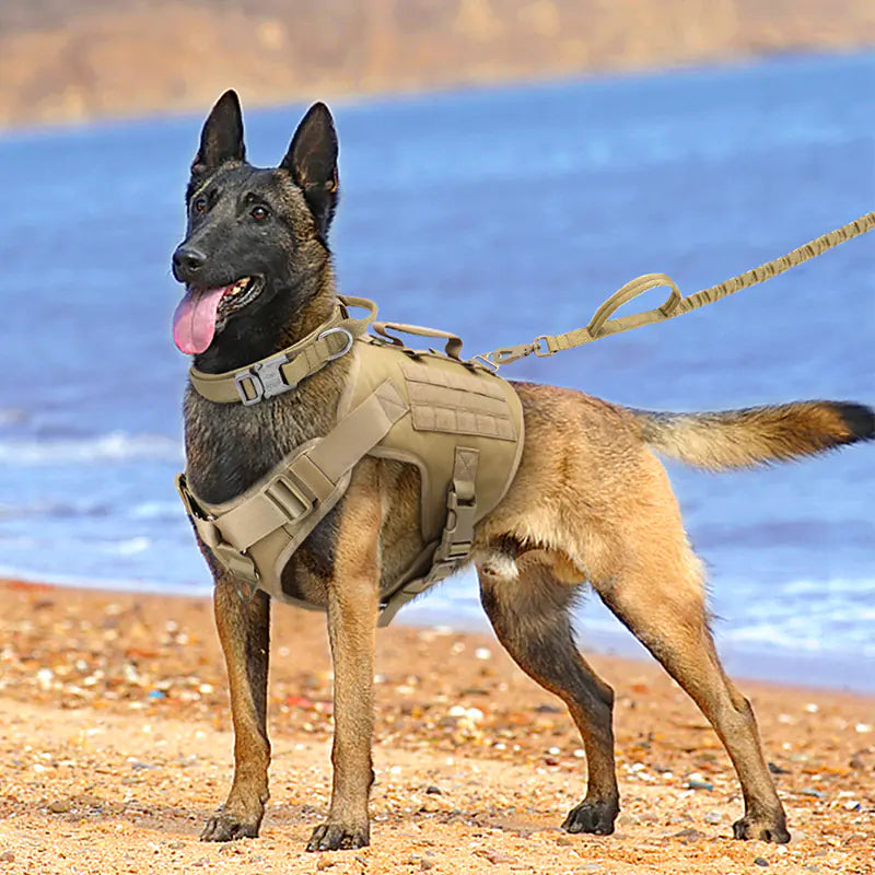 Chaleco Arnés Táctico K9 para Perros